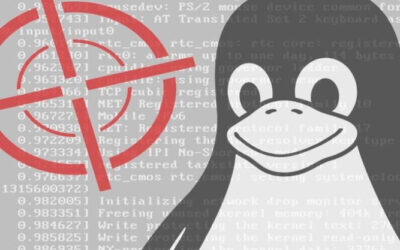 Linux Kernel Vulnerability